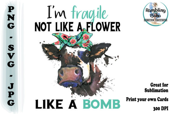 Fragile Like a Bomb Quote: A Designer’s Perspective